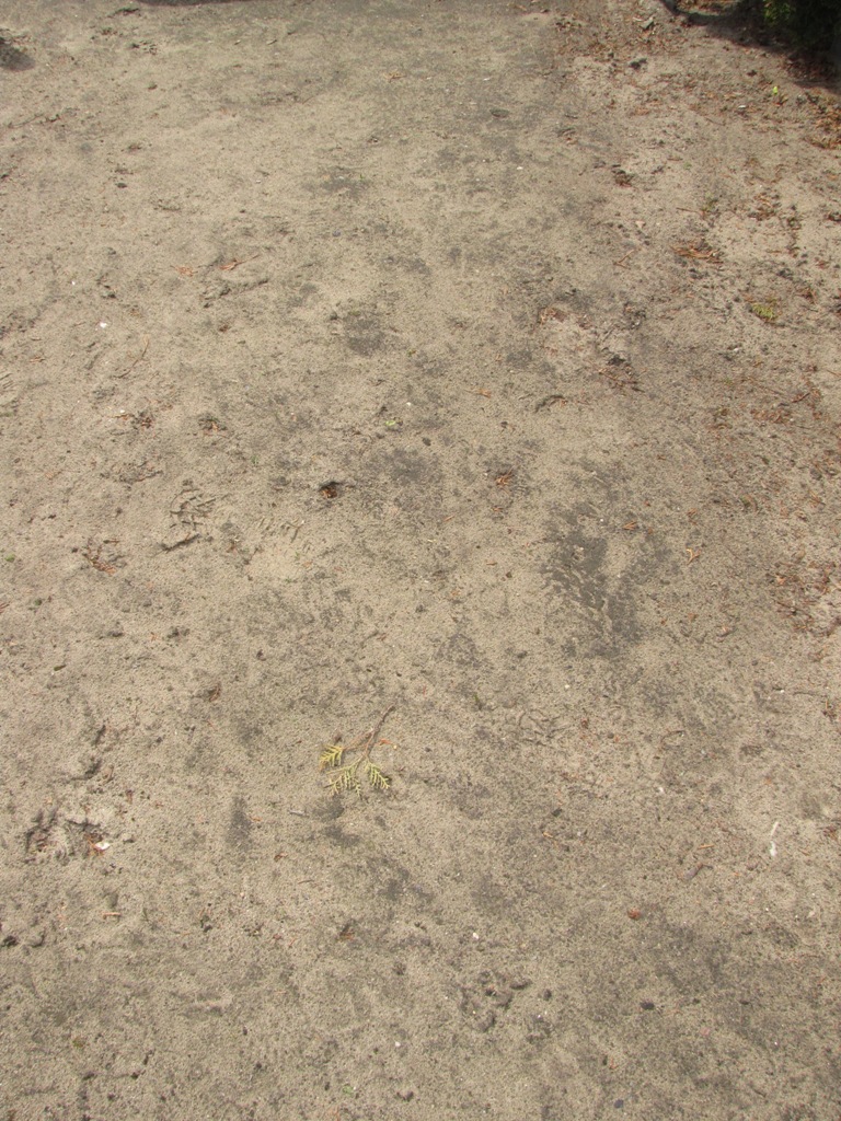 Grób Krystyna Bogucka